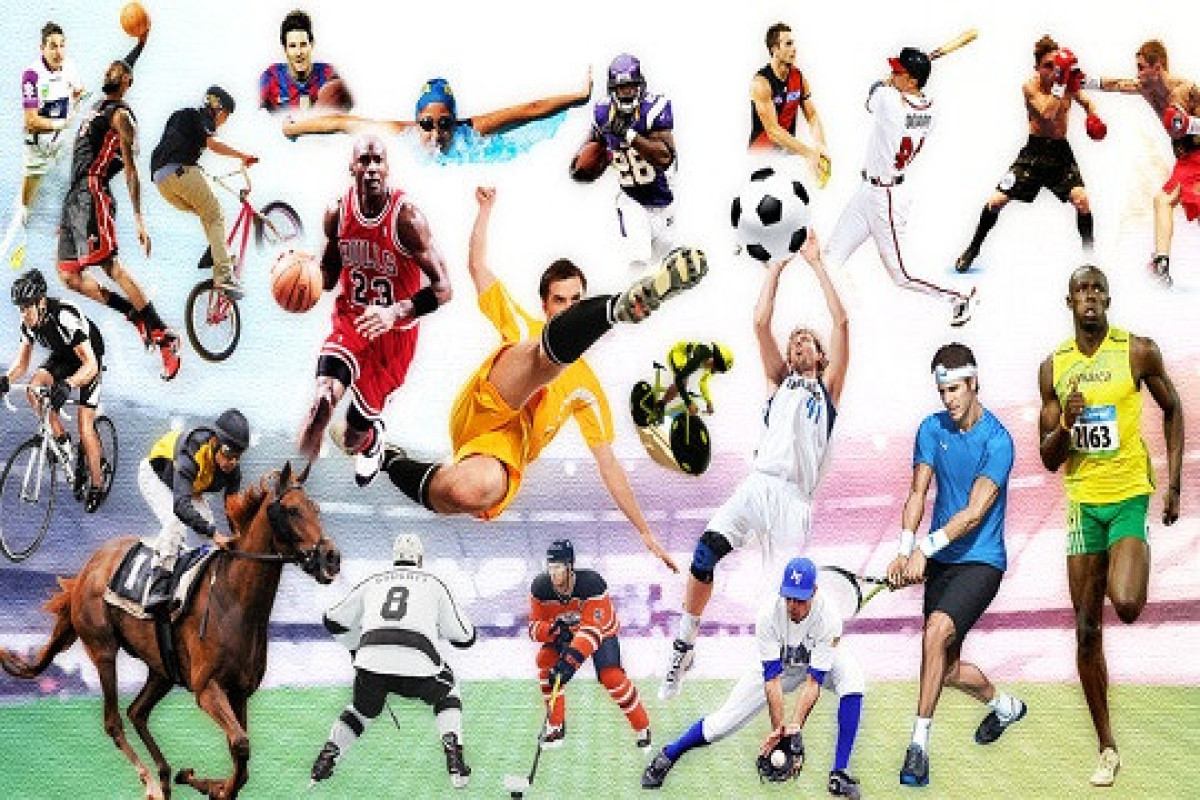 Sports Disputes